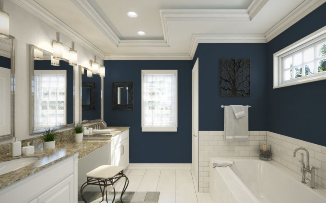 Navy Blue Sherwin Williams